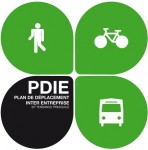Logo PDIE.jpg